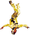 Free Fly